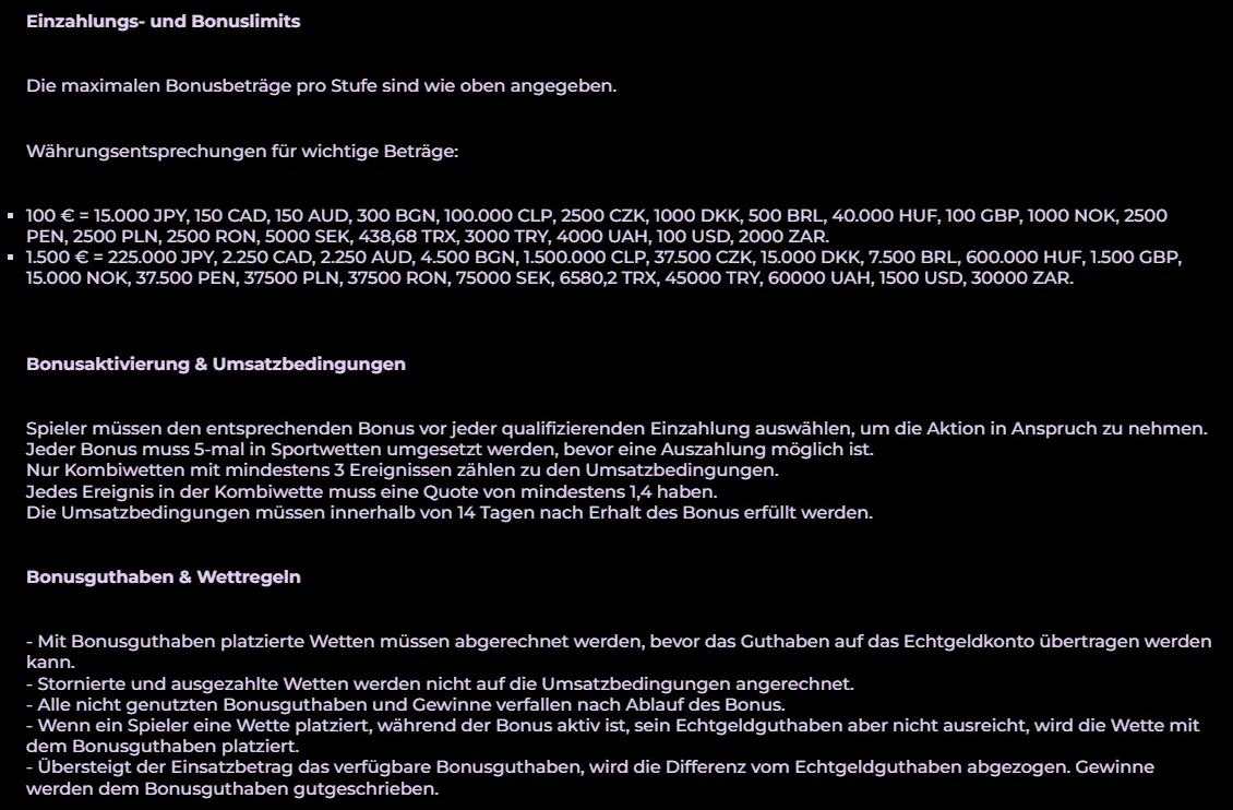 Playzini Bonusregeln mit Bonuslimits, Umsatzbedingungen und Regeln für Bonusguthaben